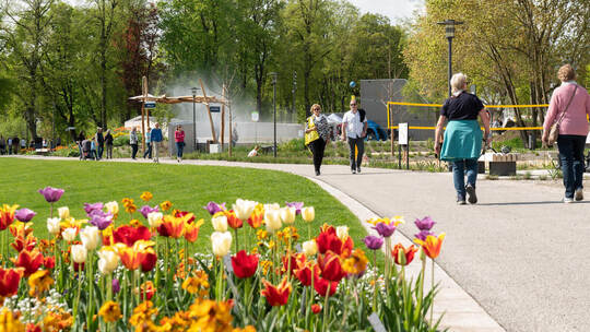 Gartenschau in Balingen