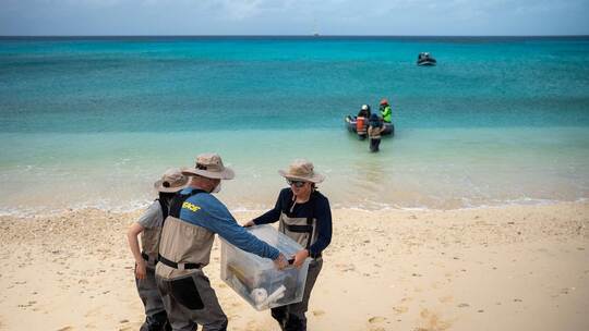 Neue Forschung zu den US-Atomtests auf den Marshallinseln