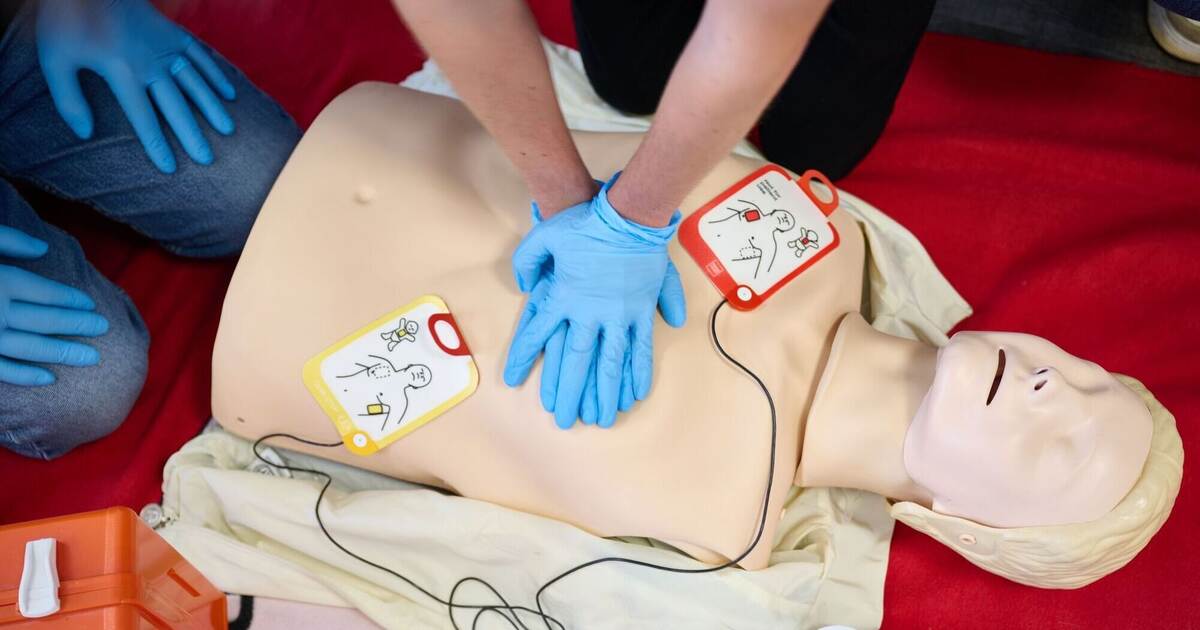Youth Red Cross calls for CPR courses in schools