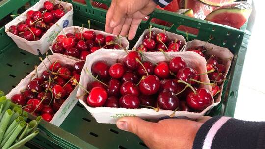 Kirschen auf dem Markt
