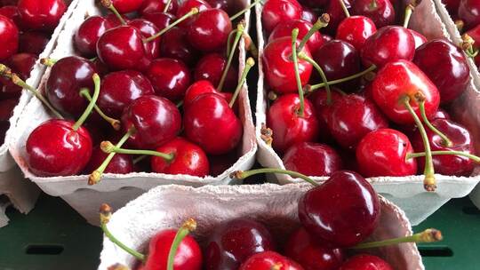 Kirschen auf dem Markt