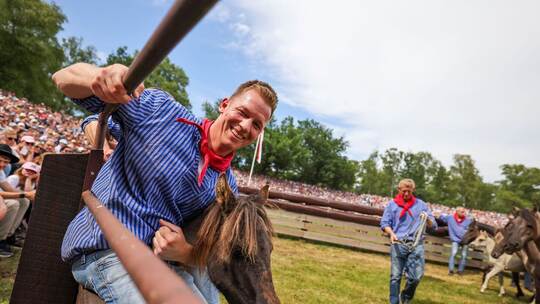 Traditioneller Fang der Wildpferde im Merfelder Bruch