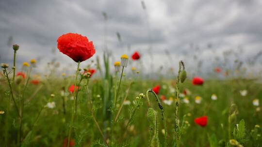 Wetter in Baden-Württemberg