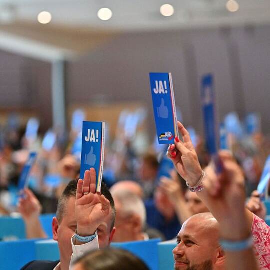 Landeswahlversammlung der AfD in Baden-Württemberg