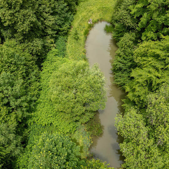 Ringsherum von Bäumen umgeben ist der einstige Angelteich mitten im Ranntal, in dem ein seit Monaten vermisster Familienvater au