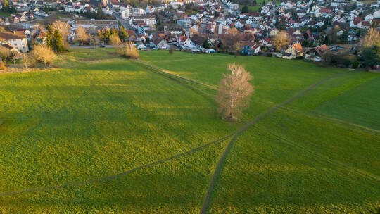 Schömberg Neubaugebiet Dahlienstraße
