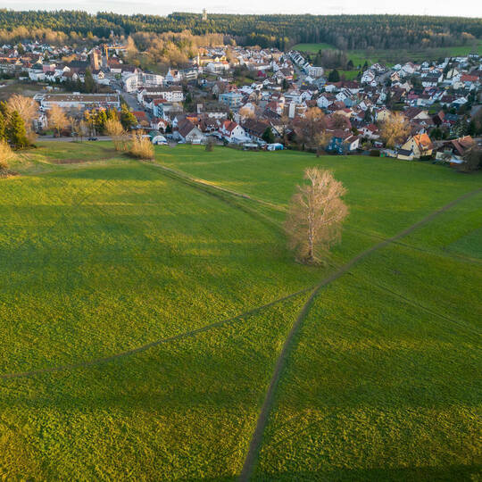 Schömberg Neubaugebiet Dahlienstraße