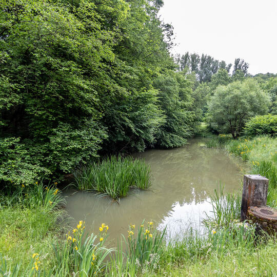 möglicher Fundort Leiche Ranntal