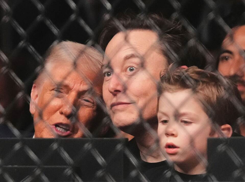 Trump und Musk mit Sohn beim Ultimate Fighting