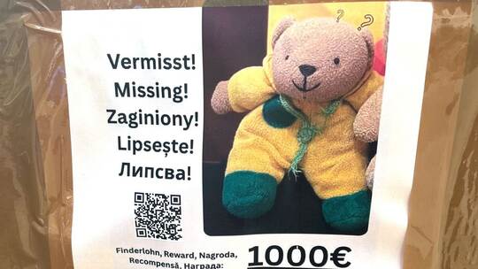 1000 Euro für gestohlenen Teddy ausgesetzt