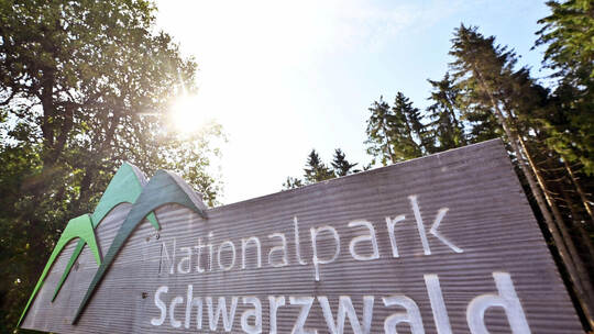 Nationalpark Schwarzwald
