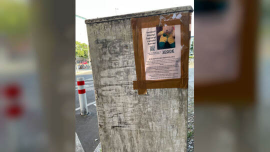 1000 Euro für gestohlenen Teddy ausgesetzt