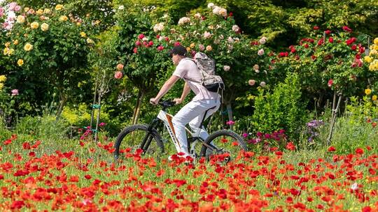 So wird das Wetter zum Start in die kurze Woche in Baden-Württem So wird das Wetter zum Start in die kurze Woche in Baden-Württem
