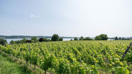 So wird das Wetter zum Start in die kurze Woche in Baden-Württem So wird das Wetter zum Start in die kurze Woche in Baden-Württem