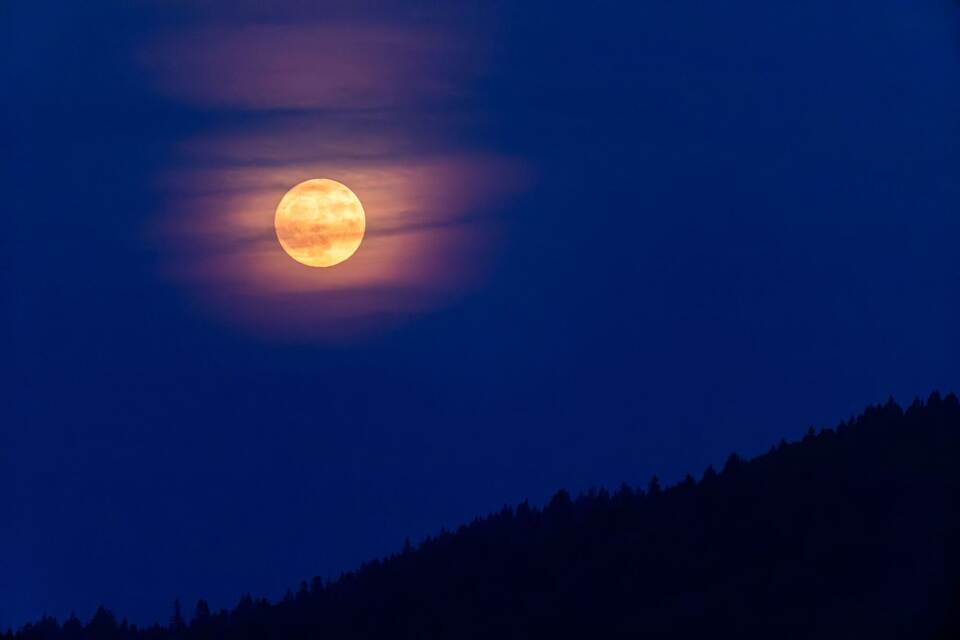 «Erdbeermond» «Erdbeermond»