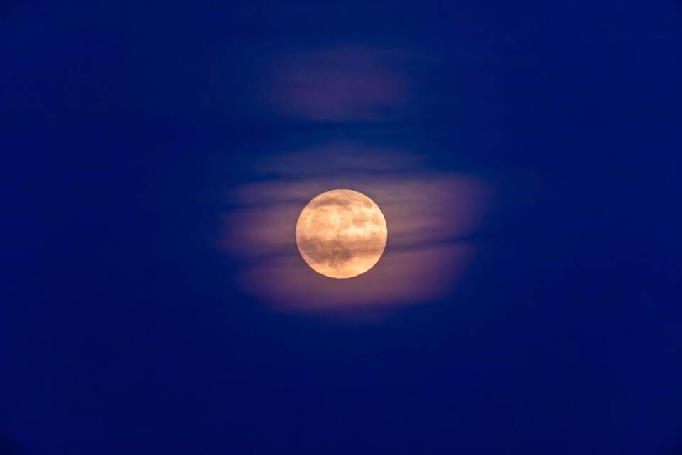 «Erdbeermond» «Erdbeermond»