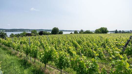 Wetter in Baden-Württemberg Wetter in Baden-Württemberg