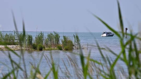 Nacktbaden am Bodensee