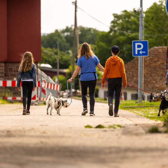 Tierheim Pforzheim Mag Serie