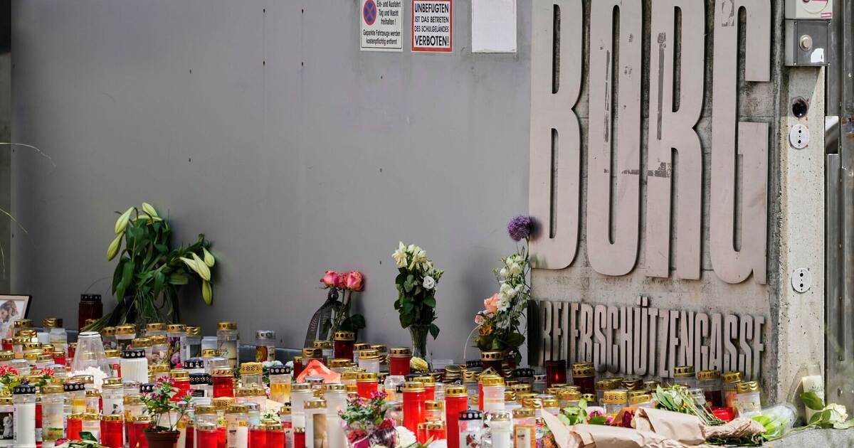 Austria wants to tighten gun laws after the shooting spree