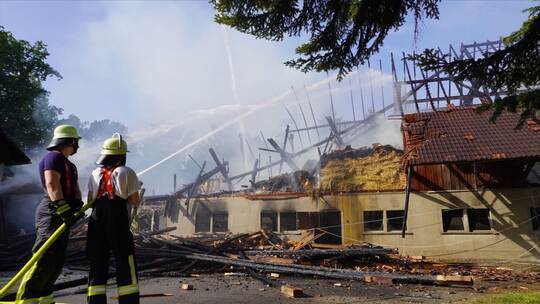 Stall mit Kühen und Rindern komplett abgebrannt Stall mit Kühen und Rindern komplett abgebrannt