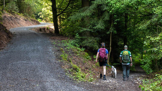 Aus einem Matschweg wurde eine geschotterte und verbreiterte Route zwischen Pforzheim und Neuenbürg. Foto: Röhr