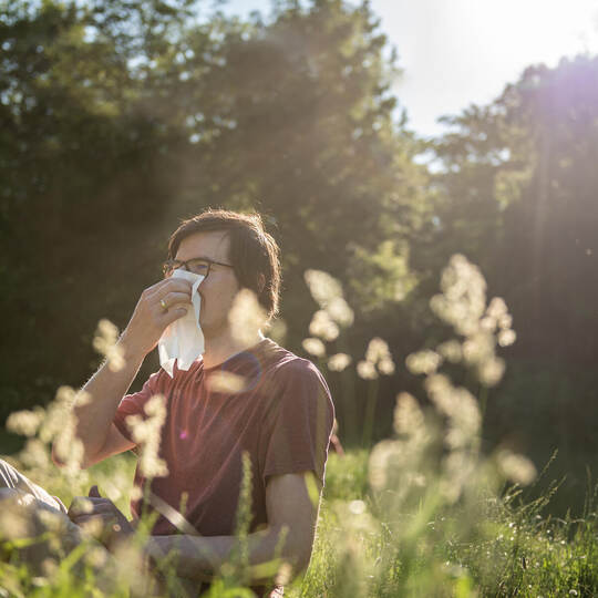 Nun im Winter - eine Hyposensibilisierung gegen Heuschnupfen?