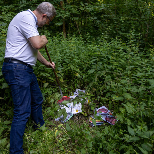 Weggeworfene Post Eisingen Hohwald