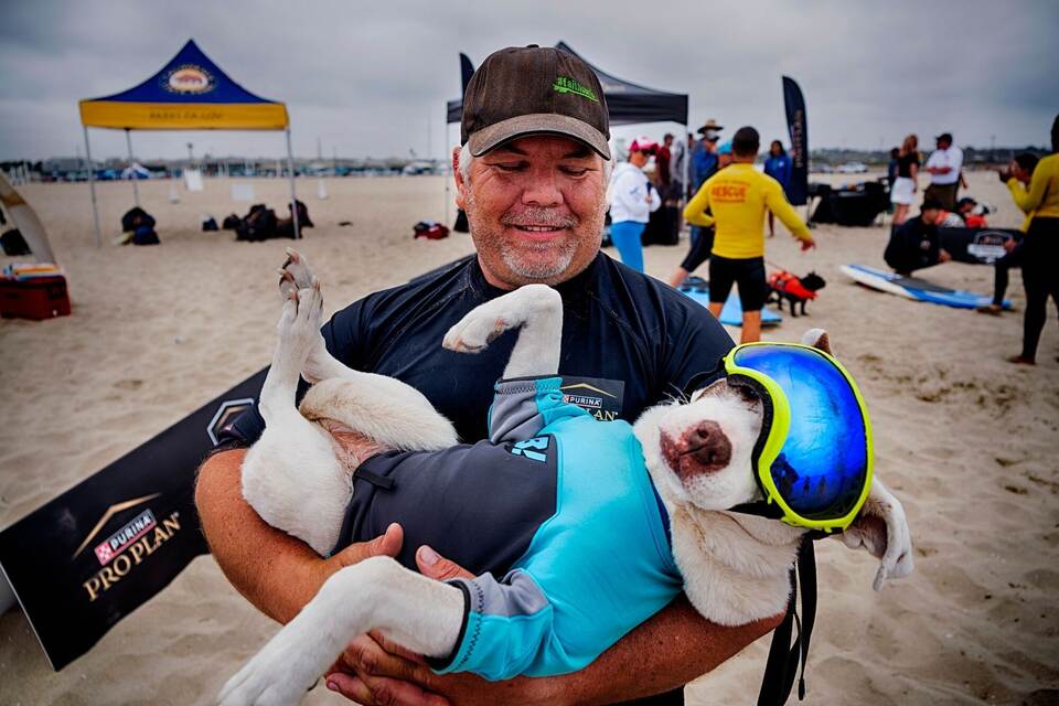 «Incredible Dog Challenge» - Surfmeisterschaft für Hunde