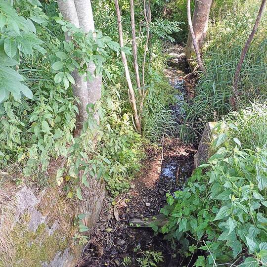 Wasserknappheit
