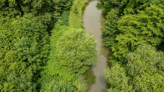 Ein ehemaliger Angelteich im Ranntal bei Keltern: Dort wurde Ende Mai der Leichnam von Igor T. aus Baden-Baden gefunden. Eingewi