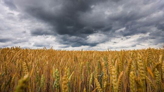 Dunkle Wolken in der Region Stuttgart