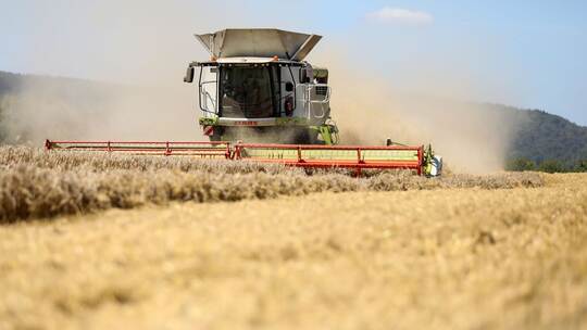 Getreideernte in Baden-Württemberg