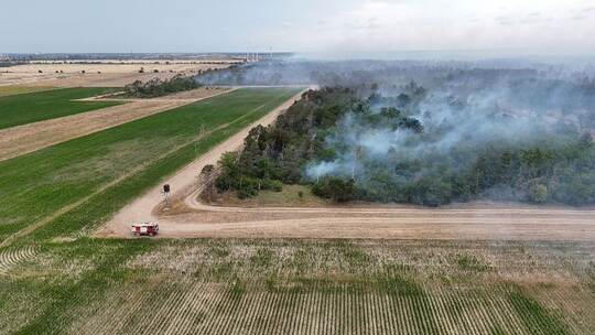 Waldbrand Gohrischheide