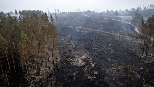 Waldbrand in Thüringen