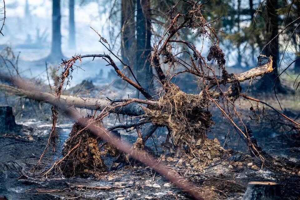 Waldbrand in Thüringen
