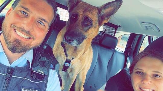 Sichtlich wohl fühlt sich der Hund im Streifenwagen. Polizei Pforzheim