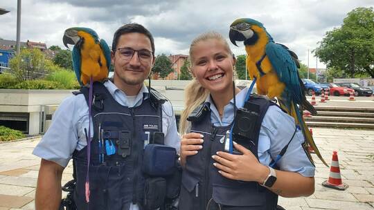 Polizisten als Papageien-Hüter