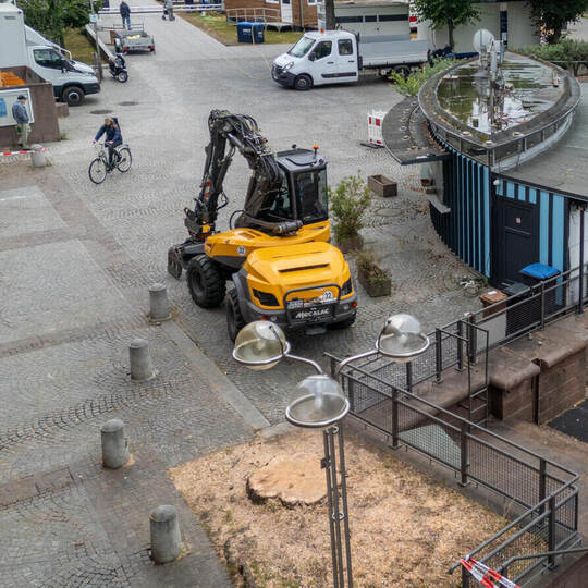 Die große Trauerweide am „Bootspick“ musste laut Stadtverwaltung sofort gefällt werden. Zu stark war der Baum im Innern beschädi