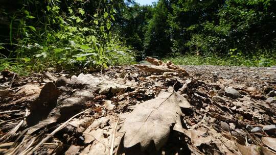 Trockenheit Trockenheit