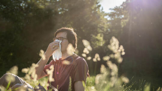 Nun im Winter - eine Hyposensibilisierung gegen Heuschnupfen?