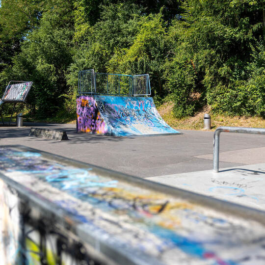 Skatepark Arlinger Carl
