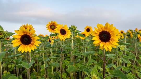 Wetter in Baden-Württemberg