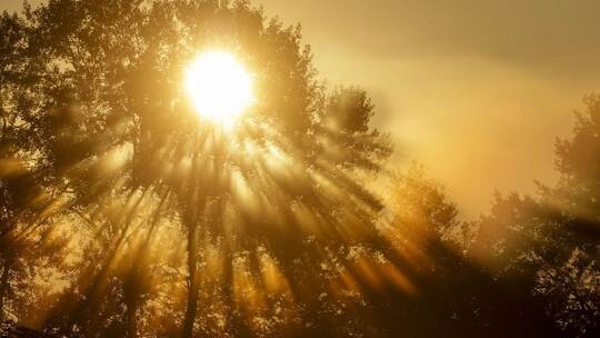 Wetter in Baden-Württemberg