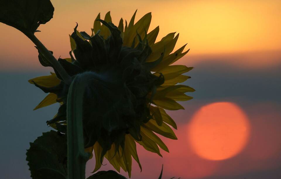 Wetter in Baden-Württemberg