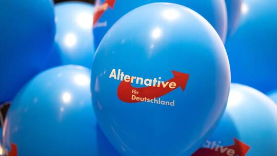 AfD Rheinland-Pfalz AfD Rheinland-Pfalz