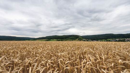 Wetter in Baden-Württemberg