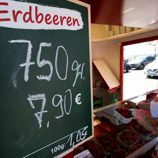 Erdbeerpreise steigen