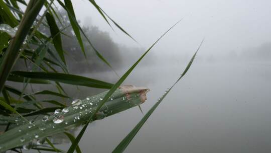Wetter in Baden-Württemberg Wetter in Baden-Württemberg