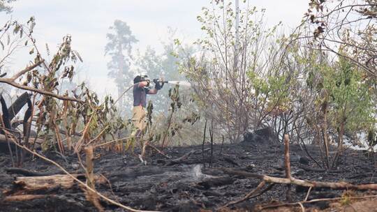 Waldbrand im Hockenheimer Hardt